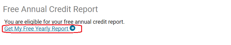 freeAnnualReport img